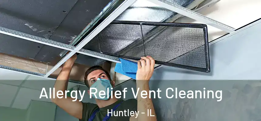  Allergy Relief Vent Cleaning Huntley - IL