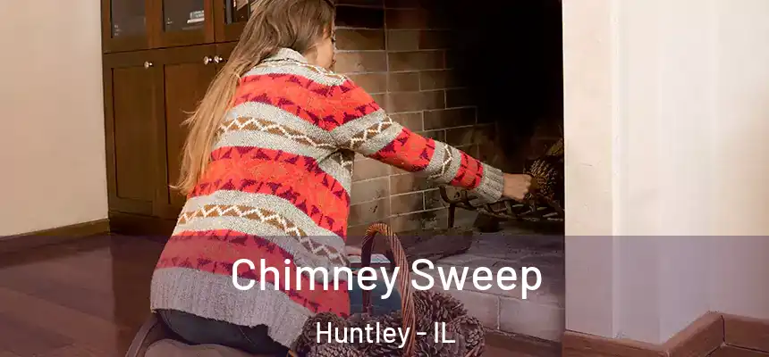  Chimney Sweep Huntley - IL