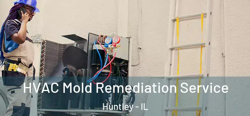 HVAC Mold Remediation Service Huntley - IL