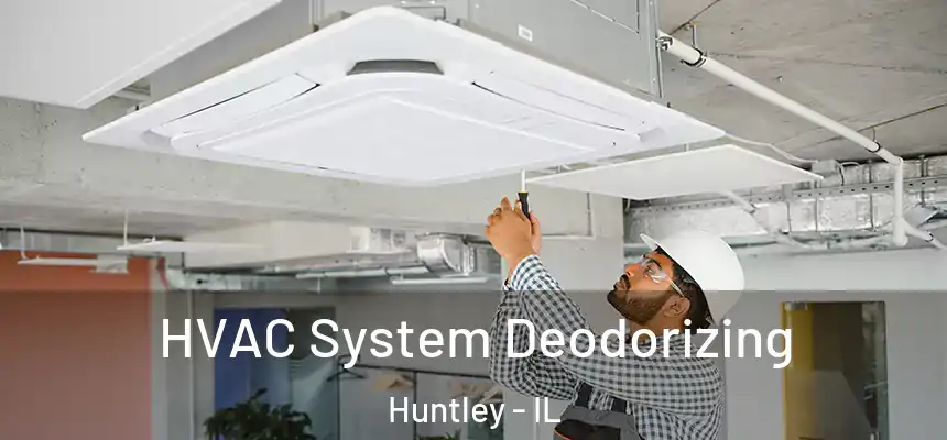  HVAC System Deodorizing Huntley - IL
