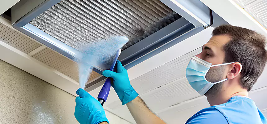 Proactive Dryer Vent & Auxiliary Duct Pollen Cleanup in Huntley, IL