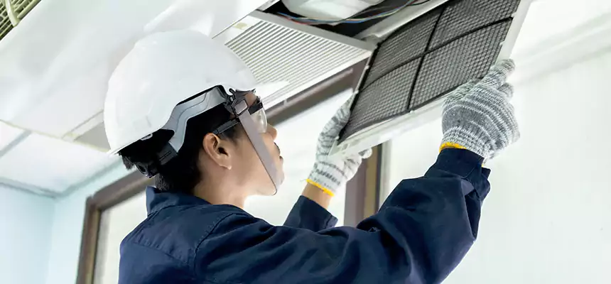 Our Mold & Mildew Removal from Air Ducts Services in Huntley, IL