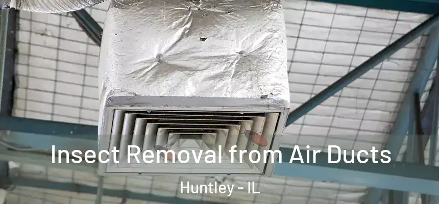 Insect Removal from Air Ducts Huntley - IL