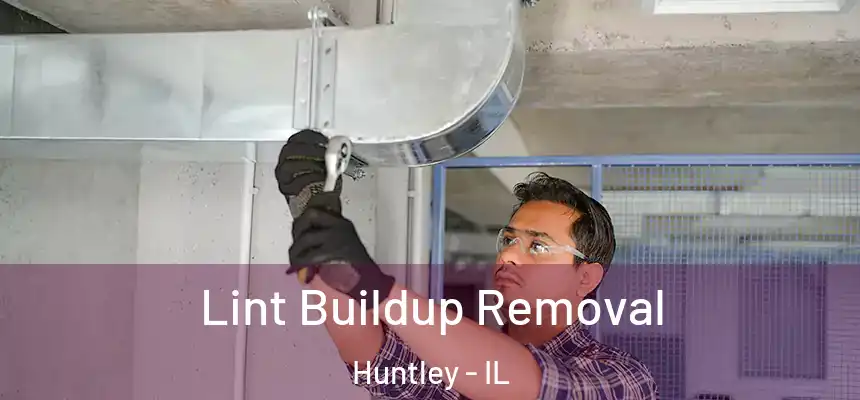  Lint Buildup Removal Huntley - IL