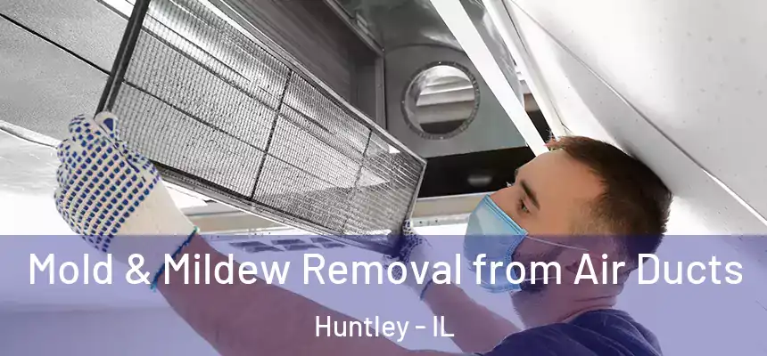  Mold & Mildew Removal from Air Ducts Huntley - IL