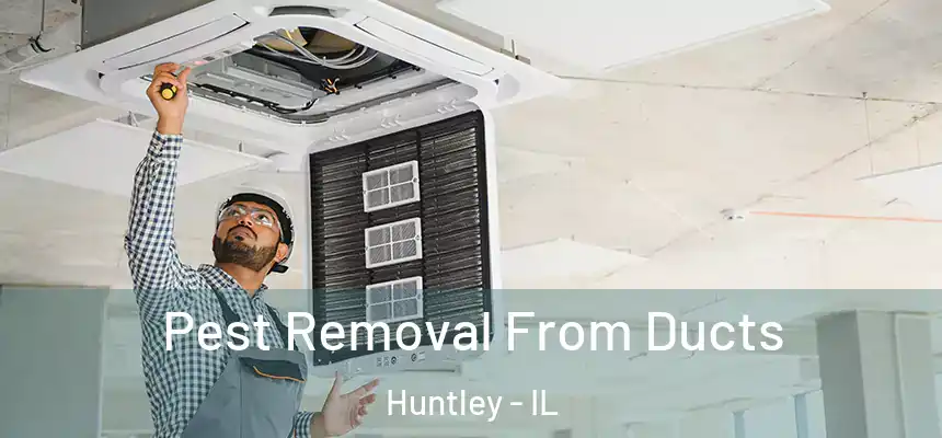  Pest Removal From Ducts Huntley - IL