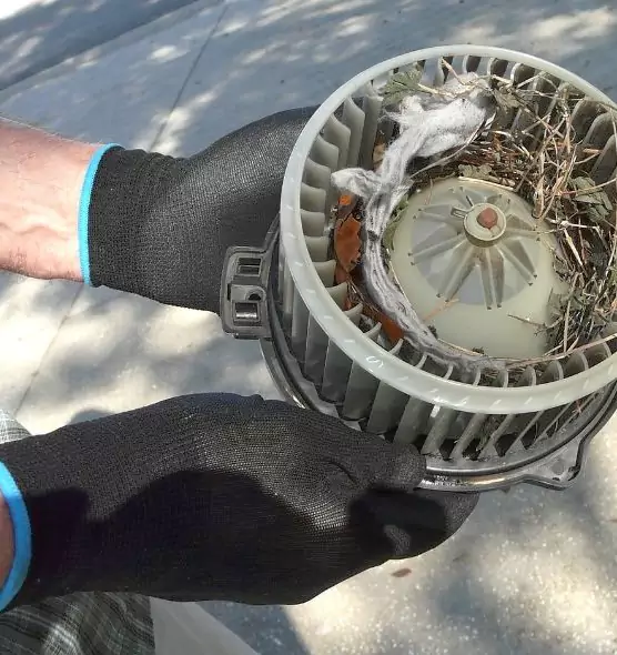 About Air Duct Rat Removal in Huntley, IL