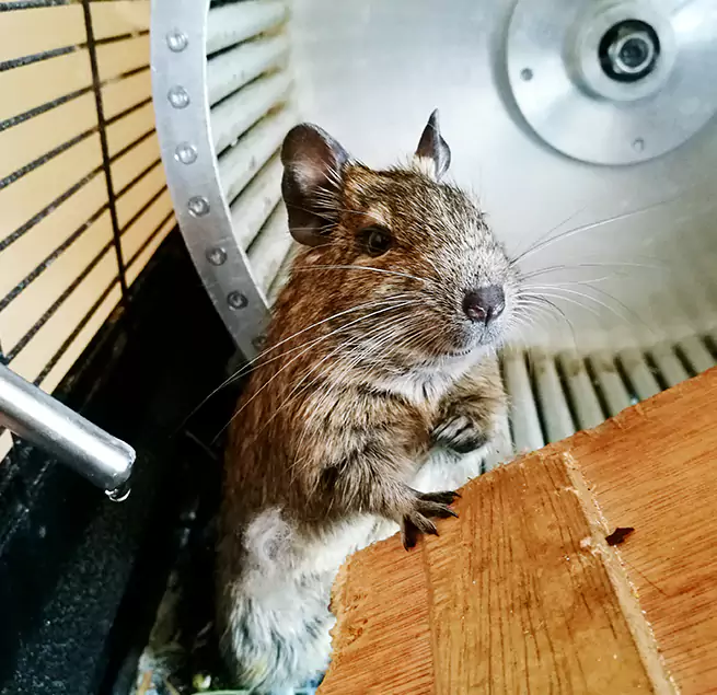 Why Homeowners & Businesses Trust Us Huntley, IL?