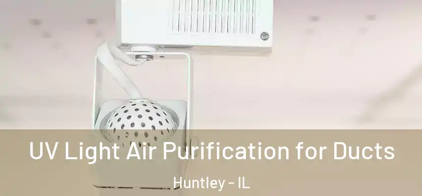 UV Light Air Purification for Ducts Huntley - IL